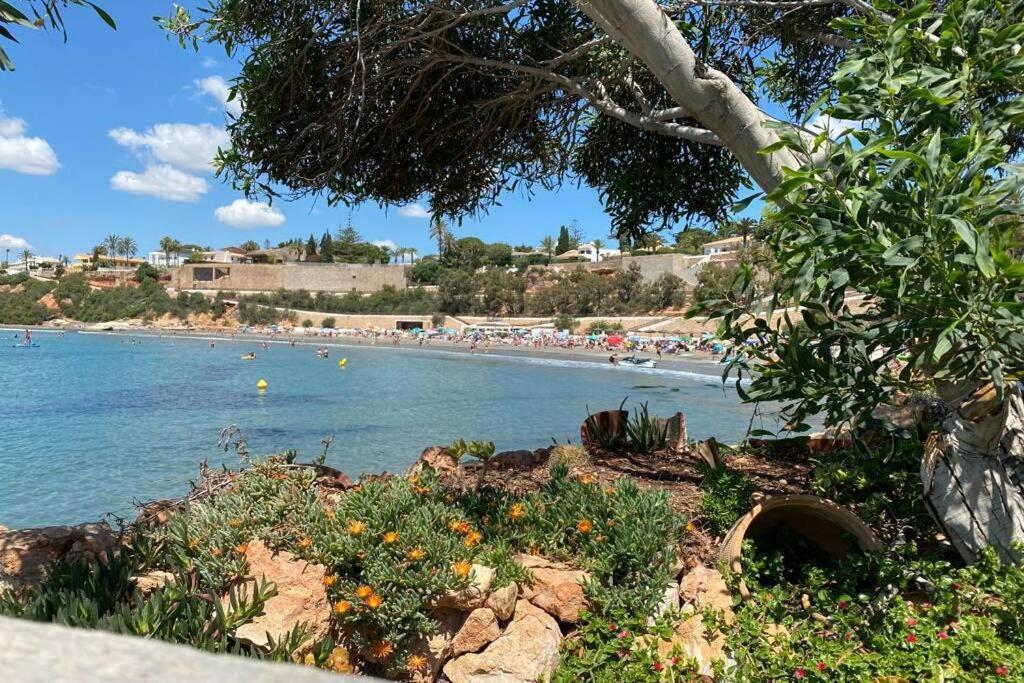 Luxury Penthouse Oasis Beach VIII Orihuela Costa Punta Prima Torrevieja Eksteriør billede